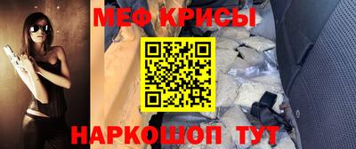стафф Кингисепп