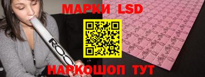 стафф Кингисепп