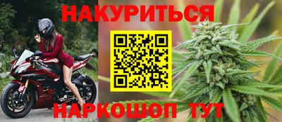 стафф Кингисепп