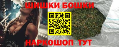 стафф Кингисепп