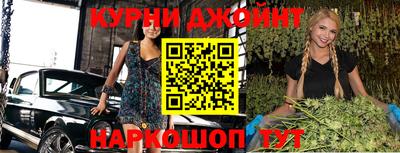 стафф Кингисепп