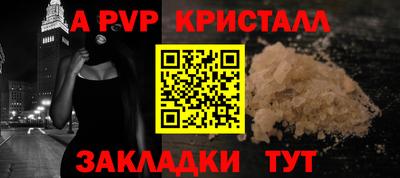 стафф Кингисепп