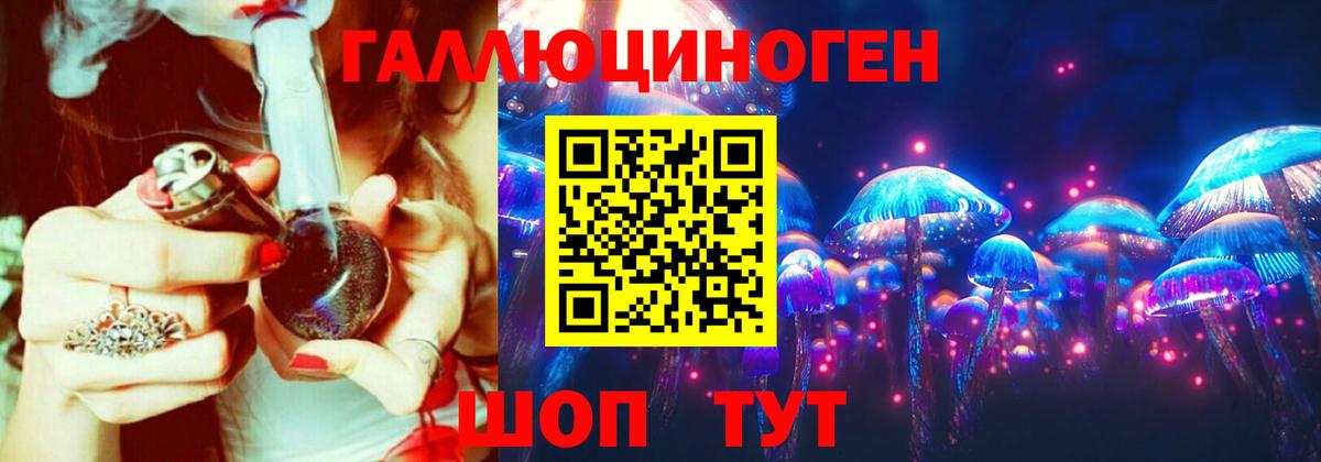 Хабаровск  Галлюциногенные грибы Psilocybine cubensis  Вход с VPN 