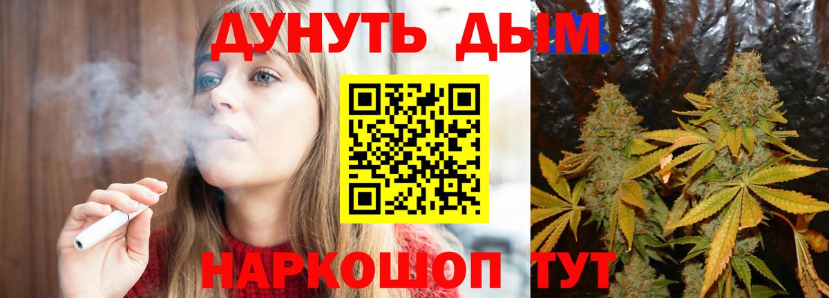 Канабис планчик  Вход с VPN  Хабаровск  Конопля THC 21%  Канабис THC 21%  Бошки Шишки Amnesia 